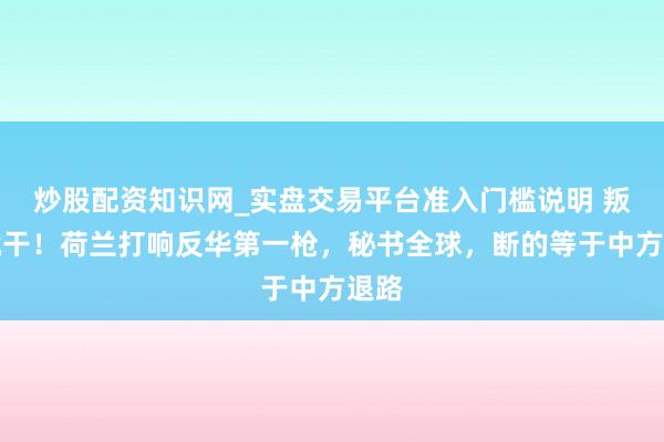 炒股配资知识网_实盘交易平台准入门槛说明 叛逆就干!荷兰打响反华第一枪,秘书全球,断的等于中方退路
