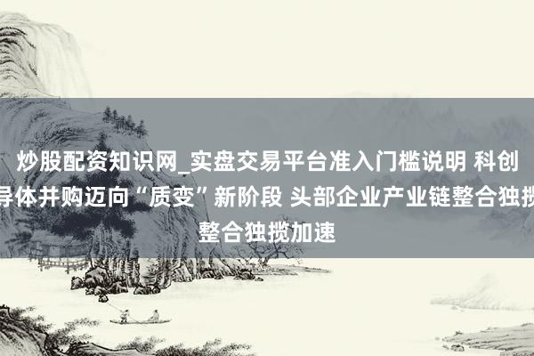 炒股配资知识网_实盘交易平台准入门槛说明 科创板半导体并购迈向“质变”新阶段 头部企业产业链整合独揽加速