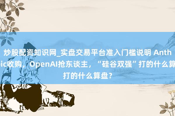 炒股配资知识网_实盘交易平台准入门槛说明 Anthropic收购，OpenAI抢东谈主，“硅谷双强”打的什么算盘？