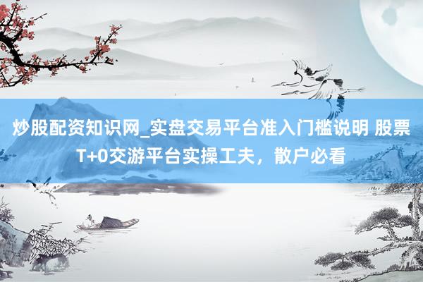 炒股配资知识网_实盘交易平台准入门槛说明 股票T+0交游平台实操工夫，散户必看