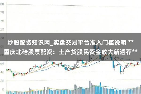 炒股配资知识网_实盘交易平台准入门槛说明 **重庆北碚股票配资：土产货股民资金放大新遴荐**